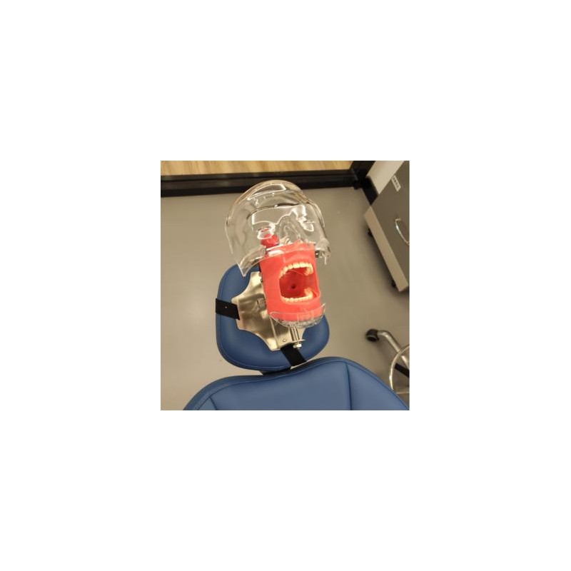 Fantoma Dental Maniquí Completo para Reposacabezas de Sillón Dental Compatible con Nissin Kilgore