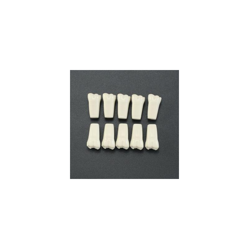 10 unids/lote de dientes dentales tipodonto dientes de repuesto compatibles con Columbia 860